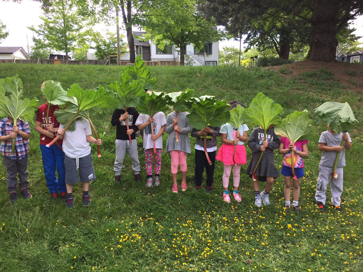 Project CHEF tweet media