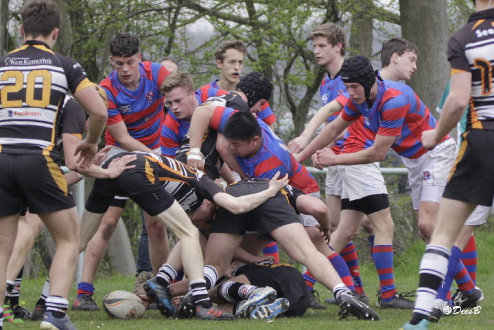 UtrechtCentral's tweet photo. Bleak week for Utrecht rugby #DeesvandenBerg #Domcity #Netherlands #rugby #RUS #URC #USRS #Utrecht https://t.co/nDRxROwlTH https://t.co/vrin8PTqXp