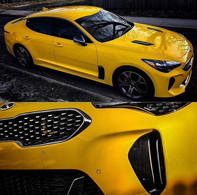 KiaNaples's tweet photo. Who else got their hands on The Limited #SunsetYellow #Kia #StingerGT !? Here’s @kato_the_kia_stinger ‘s beautiful gem!!😍 #KiaStinger #KiaStingerGT https://t.co/BW07zF5t6e https://t.co/iw9OQfROb7
