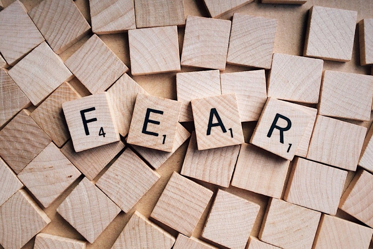 smartleaptv's tweet photo. Having a clear picture of what you want is the first step in overcoming fear. https://t.co/6VdIjSTNN8 #fear #change #manifest #strength #programyourmind #smartleap https://t.co/y8FvnT6Zp1