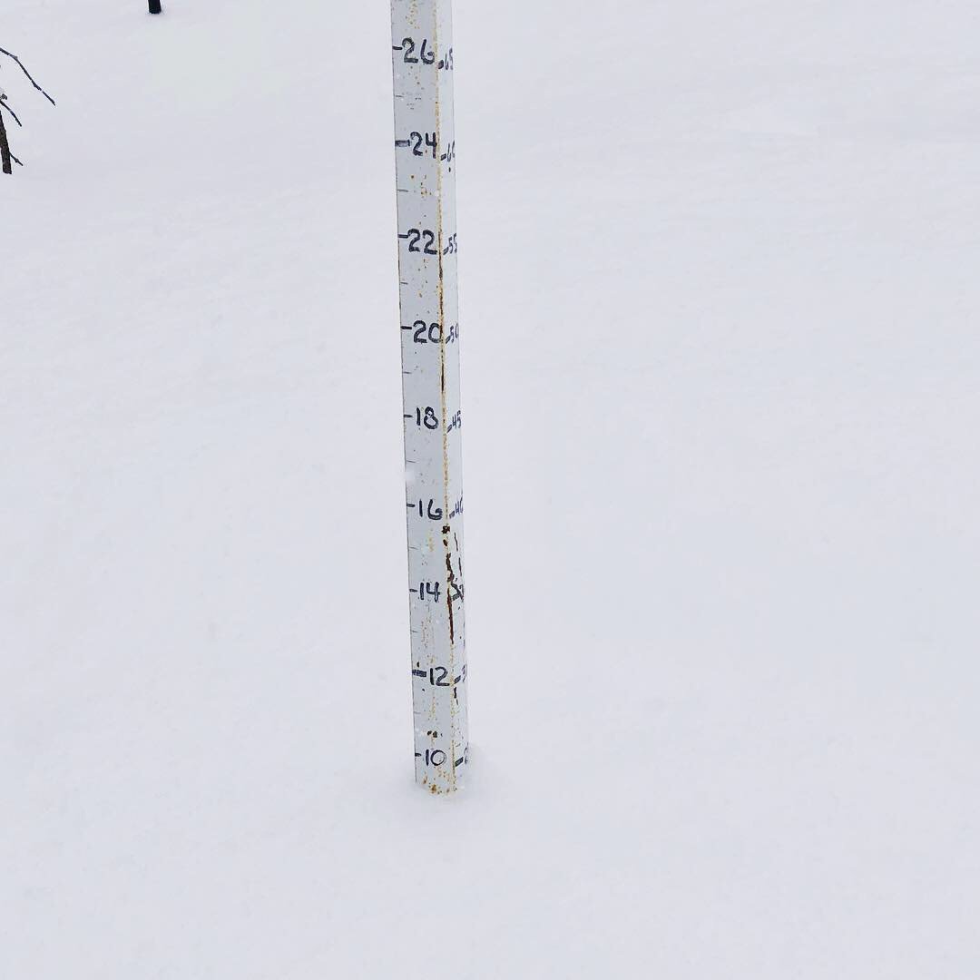 WolfCreekSki2's tweet photo. Spencer stopped by the storm stake for the 2:00 o’clock update... 9 inches in 24 hours!
Midway Base: 162 inches
Year-to-Date: 484 inches
#wolfcreekski #wolfcreekskiarea #wolfcreekcolorado #wolfcreek #springwhat #southersanjuans #spencer #springstorm https://t.co/0fua8D6G4y