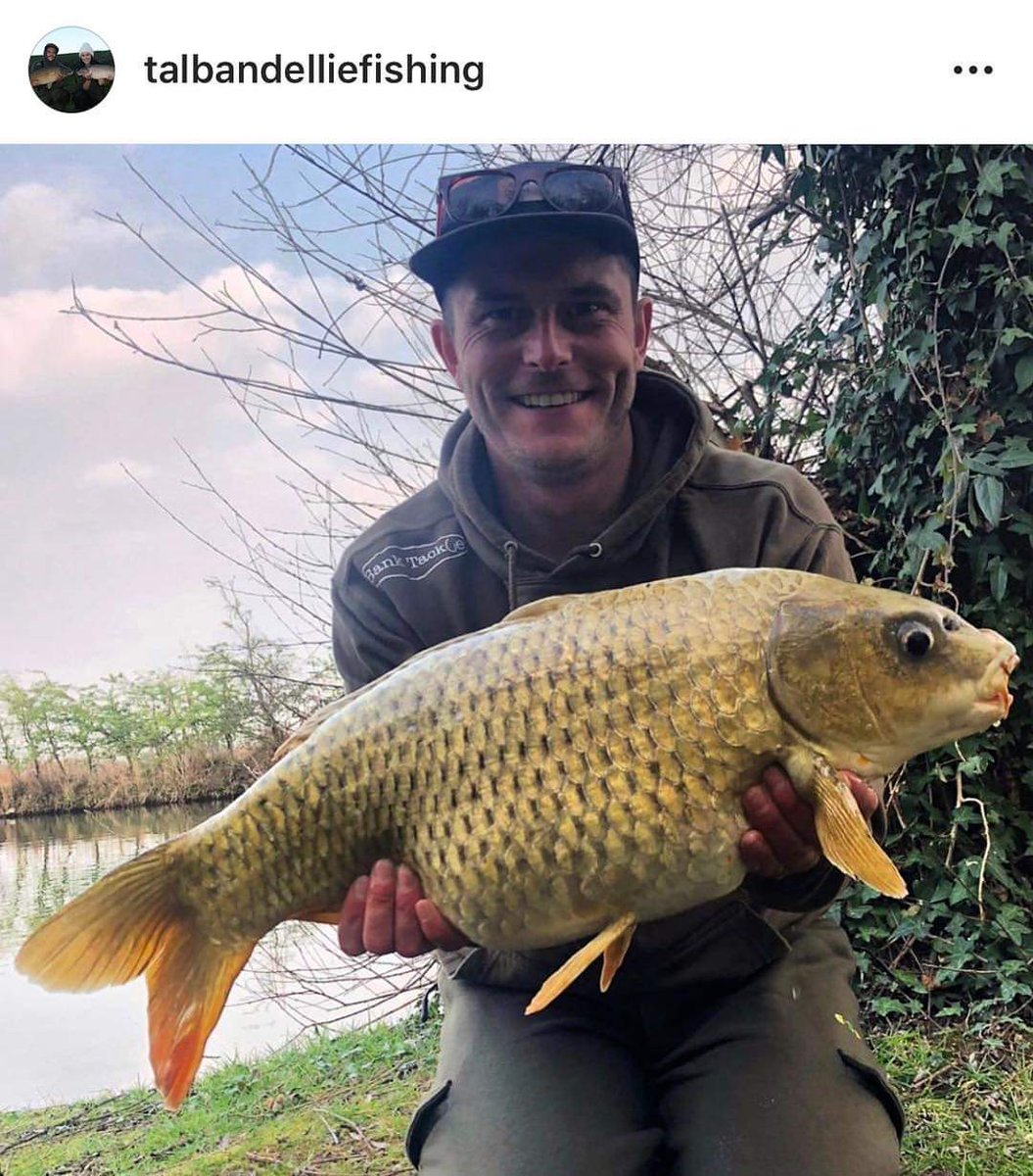 SolarCarp's tweet image. Caught on a pink TS1 popup