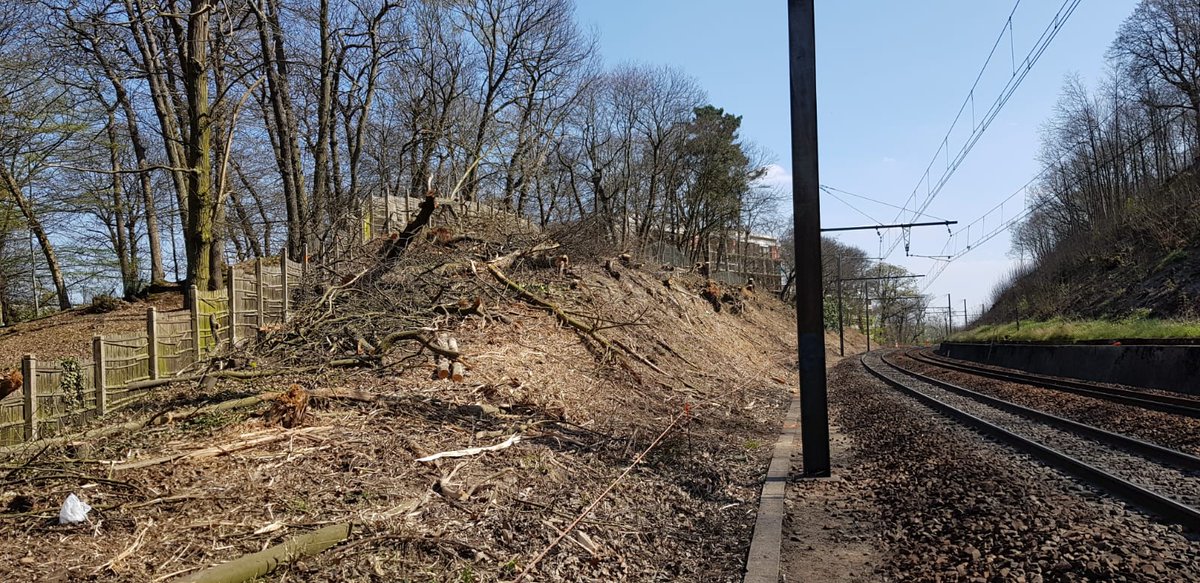 DanielGardeux's tweet photo. Grosse opération d'élagage entre St Cyr et Plaisir ce week-end en non-stop. La situation, avec des arbres malades, présentait des risques pour les trains des lignes @lignesNetU_SNCF et @RERC_SNCF. Moins de risques de retards en cas de coup de vent aussi @SNCFReseau #IPSO https://t.co/f4Sz7aRXGK