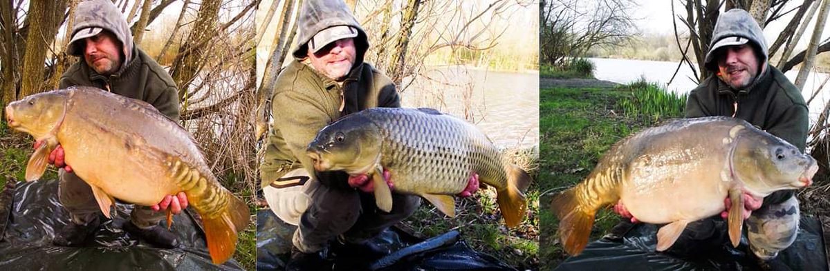 SolarCarp's tweet image. Mixing up CherryCarp's KMT and MeatyMite gave 'Dam the Carper' a reason to celebrate this weekend having fished MeatyMite Popups over the top!

Another three in the bag to kick start the season mate. Good dangling Sir! Here's to next weekend!!!