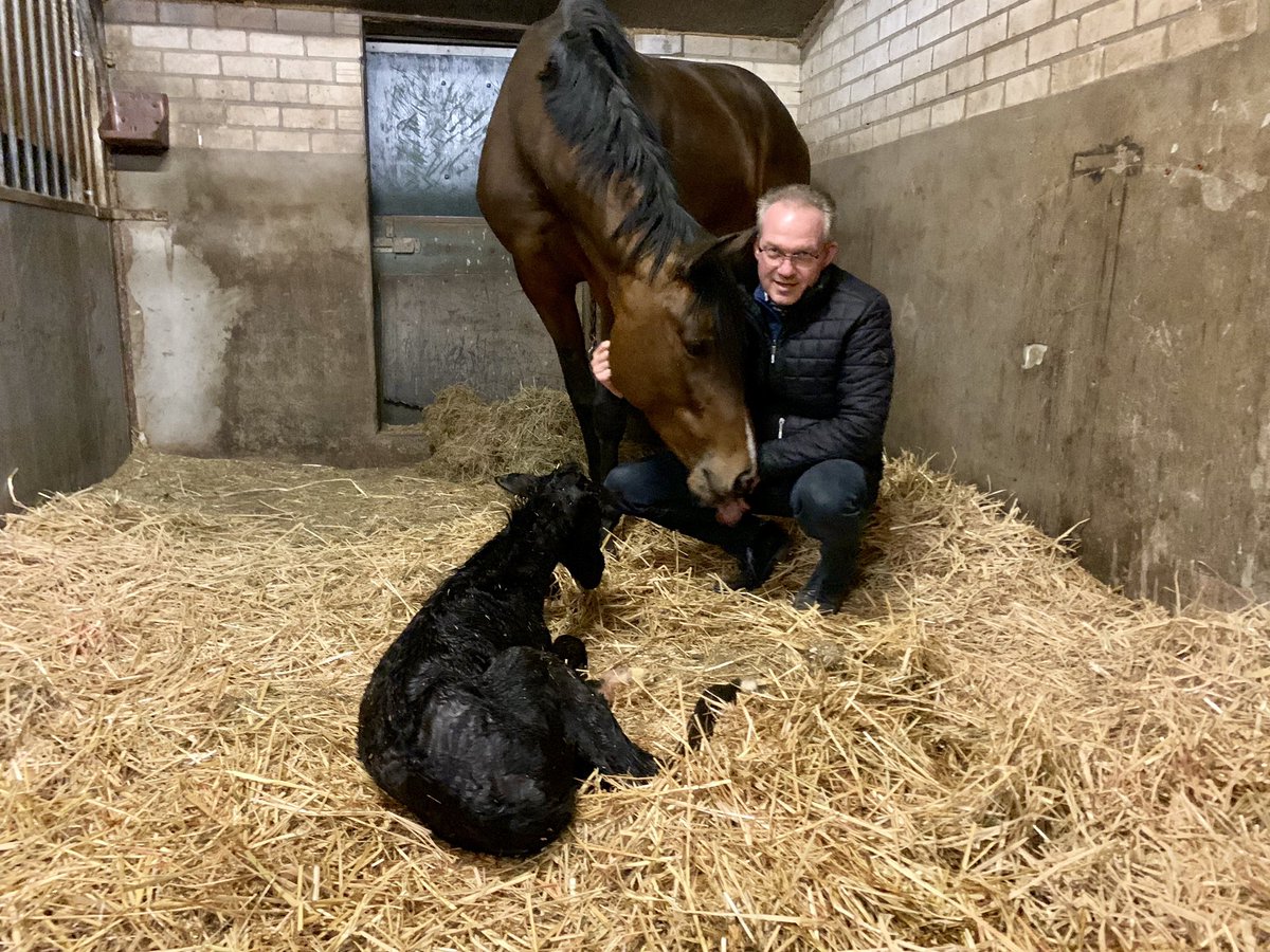 Anton van Limpt tweet media