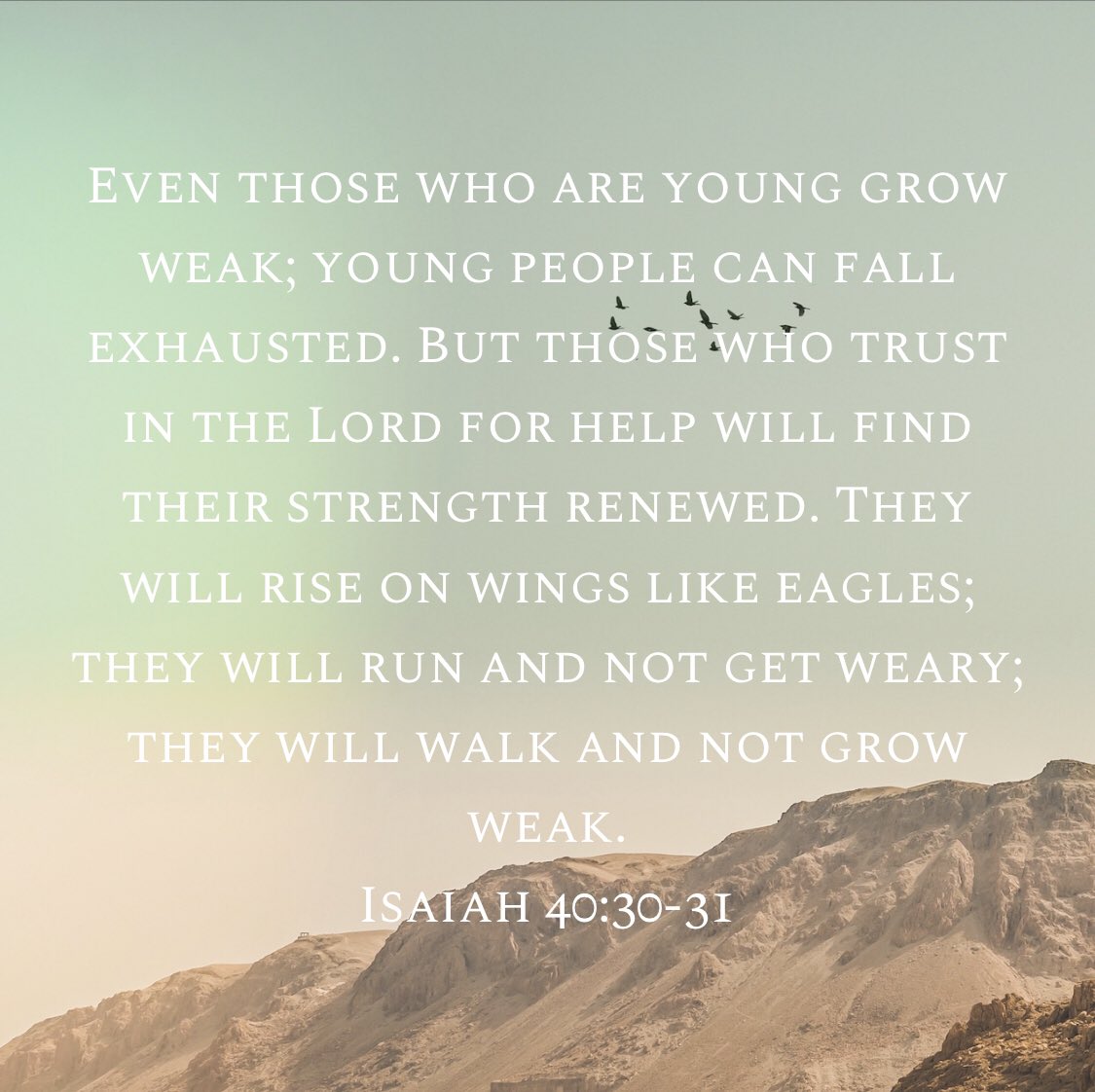DrHustle80's tweet photo. #Sundaysscripture
#God
#weak
#trust
#renew
#Strength
#Faith https://t.co/hcUvABpO92