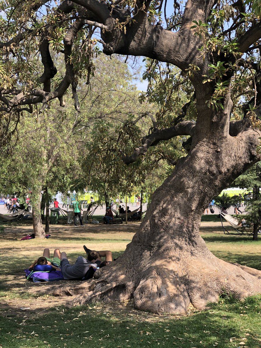 guendelman's tweet photo. Éstos son los “destrozos” del Parque O’Higgins al tercer día de festival @lollapaloozacl (acabo de tomar yo las fotos). Todo impecable, todo limpio, todo lindo. De verdad no podemos compartir este parque por 3 días con el festival de música más importante del mundo? https://t.co/TFjBlWiesy