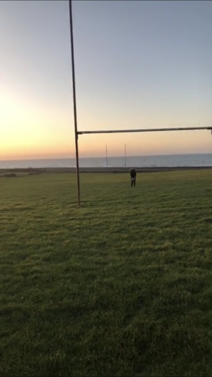 SianD30's tweet photo. Nothing beats a lovely sunset and rugby🏉 https://t.co/Iq6qsy7Izm
