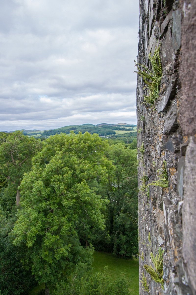 Stravaig_Aboot's tweet photo. More #views from #CardonessCastle in #Kirkcudbrightshire, 15thC #TowerHouse built by #McCulloch family to guard entrance to #WaterOfFleet at #FleetBay. Now run by @welovehistory.

https://t.co/VspgXBDkQr

#castle #ScottishCastles #замок #ChateauFort #ScotlandIsNow https://t.co/Tg8YOtBuTS
