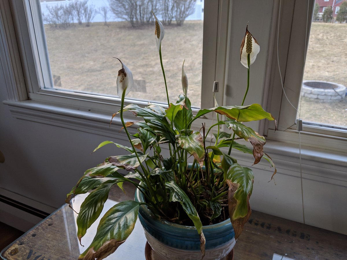 Juti Organics tweet media