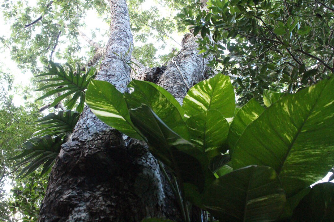 Sigue este enlace a nuestro sitio web y DESCUBRE qué hacer en #PuertoMorelos, pueblo con encanto en la #RivieraMaya.

+ ILovePM.com/descubre-pm/#q…