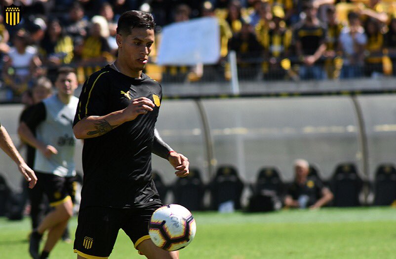 OficialCAP's tweet photo. El plantel principal entrenó esta mañana en el estadio Campeón del Siglo #VamosCarbonero https://t.co/kzHzTfiA1R