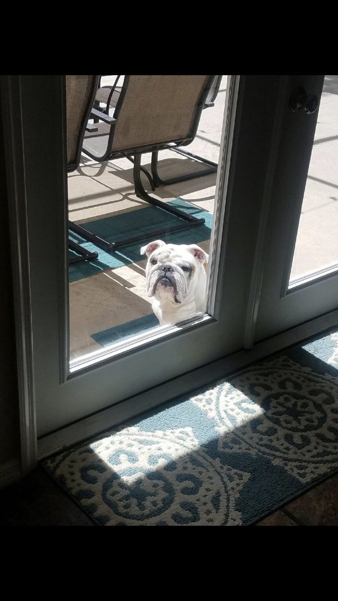 bloveee_2's tweet photo. I always feel like somebody’s watching me https://t.co/HSxALuLeVG