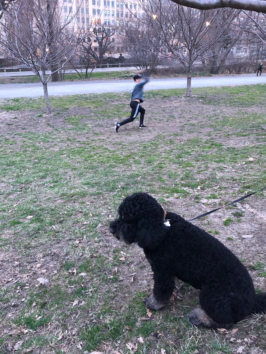 A boy and his dog... Hershey standing guard as Jared pitches