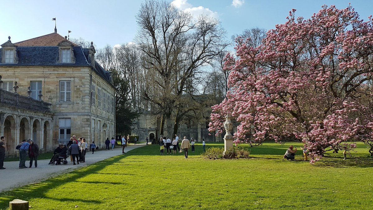 Beaucoup de monde ce week-end à l'abbaye pour admirer le #magnolia en fleurs 🌸🌸🌸
#arbreremarquabledefrance #marne #hautemarne #meuse #saintdizier #champagne #grandest