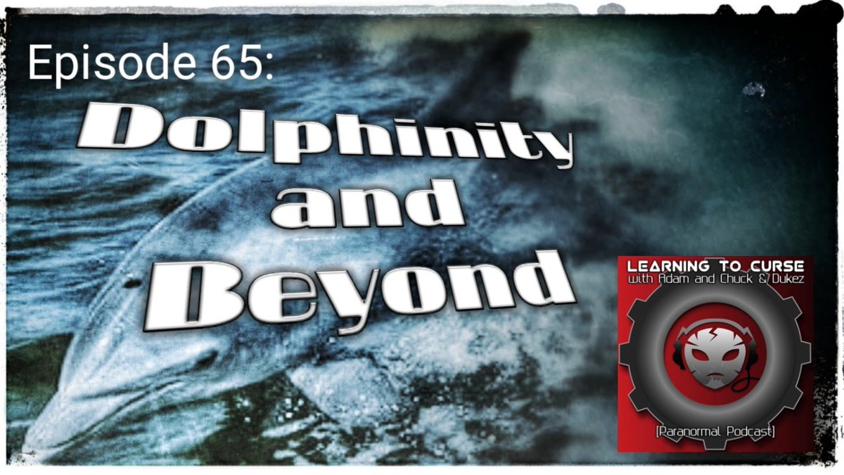 learningtocurse's tweet photo. New episode out now!
Learning to Curse Episode 65: Dolphinity and Beyond
Enjoy the Curse on Spotify, iTunes, iheartradio &amp; most podcast apps! https://t.co/OqDWA48B3C