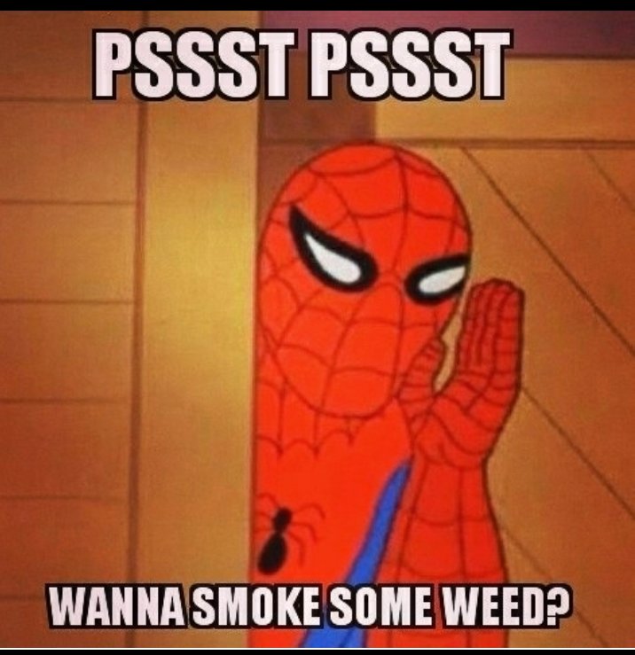 420partypeople's tweet photo. #stonersunday #stonernation #stonerfam #420partypeople #420partypeople2 #cannabis #weedstagram #weedsociety #weedofig #recreationalmarijuana #medicalmarijuana #mmj #letsgethigh #iamcannabis #hightimes #Ganjahol #ganja #Spiderman #smokeweed #smokepot #gethigh #stayhigh #cbd #cbdoi https://t.co/JsSsoqMKv3