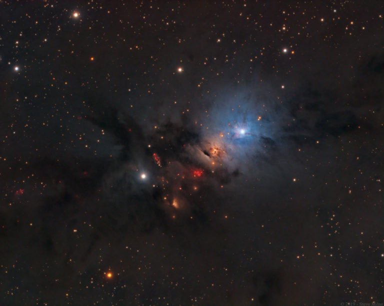 UAstronomia's tweet photo. La #nebulosa a riflessione NGC 1333 è dominata da una delicata tonalità bluastra, caratteristica della luce stellare riflessa da polvere cosmica. -> https://t.co/Gd2XWpnqM1

#astronomia #universo #scienza #spazio #cosmo https://t.co/tOoEX46ajl