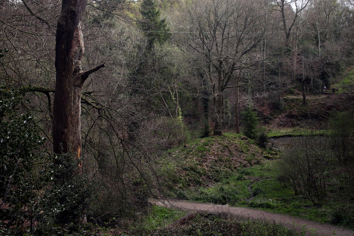 KeithFreeburn1's tweet image. Nice afternoon from #Bersham to #NantMill through #PlasPowerWoods @WoodlandTrust @OffasDykePath