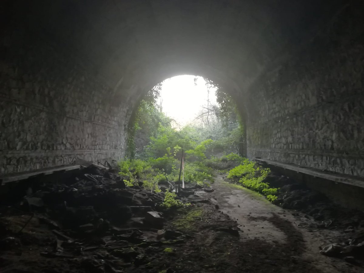 LabGov's tweet photo. Meanwhile in the #CoDistrict : site visit to the dismissed ancient tunnel within the Archaeological Park of #Centocelle, designed to be the first subway of the City of Rome #CooperACTiva #CoRoma #iBenidiRoma #culture #H2020 #TheCityAsaCommons #cultural #heritage
@OpenHeritageEU https://t.co/4KruCbfVVb