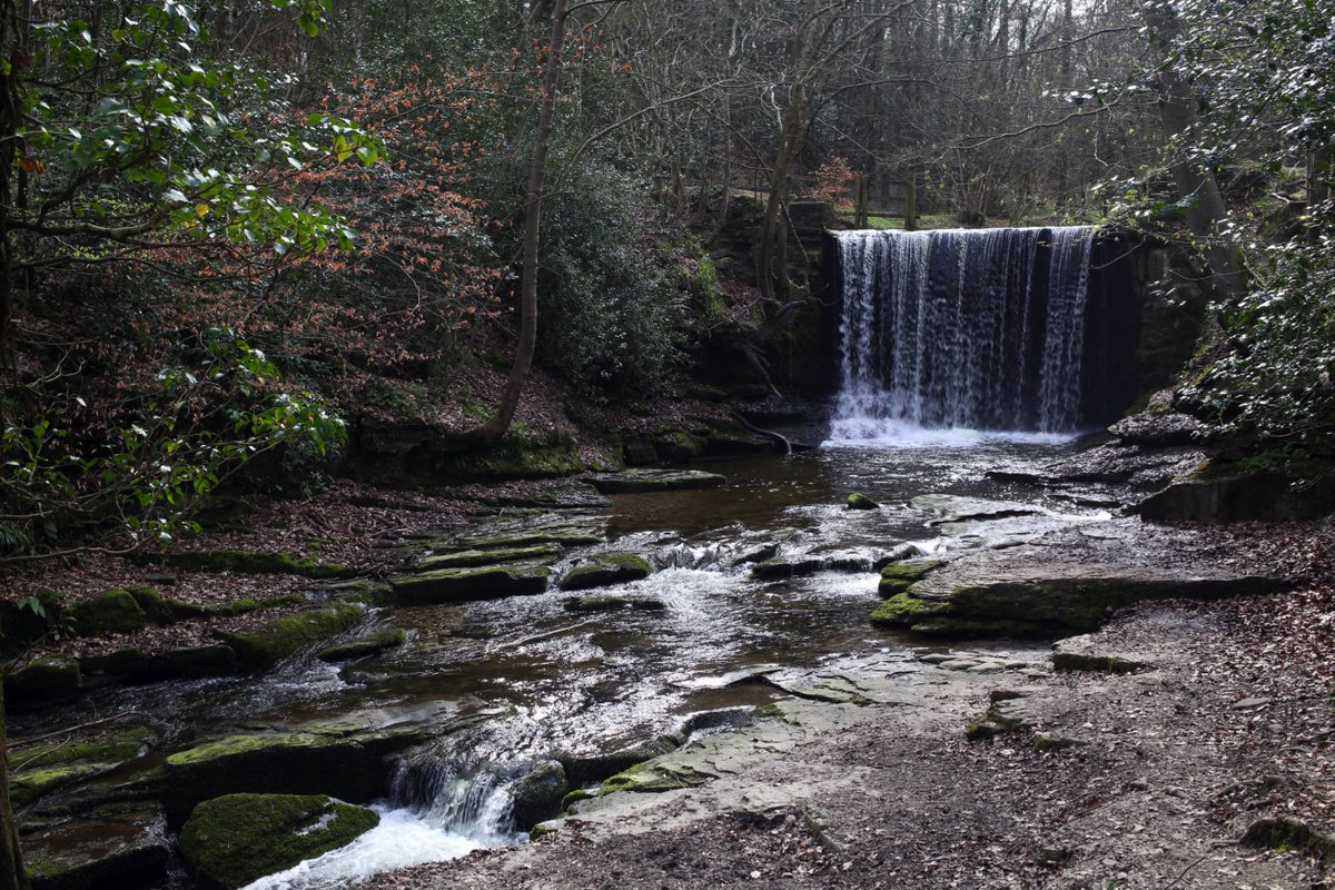 KeithFreeburn1's tweet image. Nice afternoon from #Bersham to #NantMill through #PlasPowerWoods @WoodlandTrust @OffasDykePath