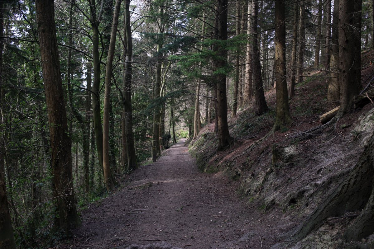 KeithFreeburn1's tweet image. Nice afternoon from #Bersham to #NantMill through #PlasPowerWoods @WoodlandTrust @OffasDykePath