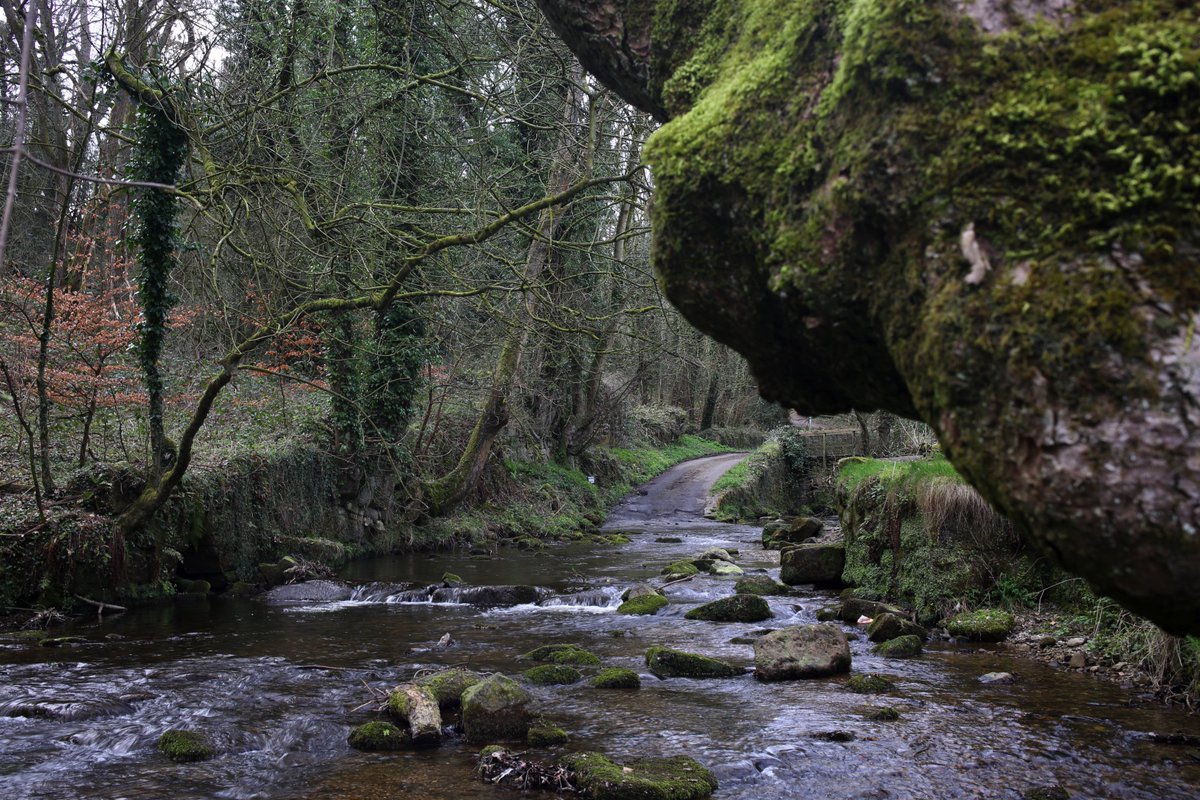 KeithFreeburn1's tweet image. Nice afternoon from #Bersham to #NantMill through #PlasPowerWoods @WoodlandTrust @OffasDykePath