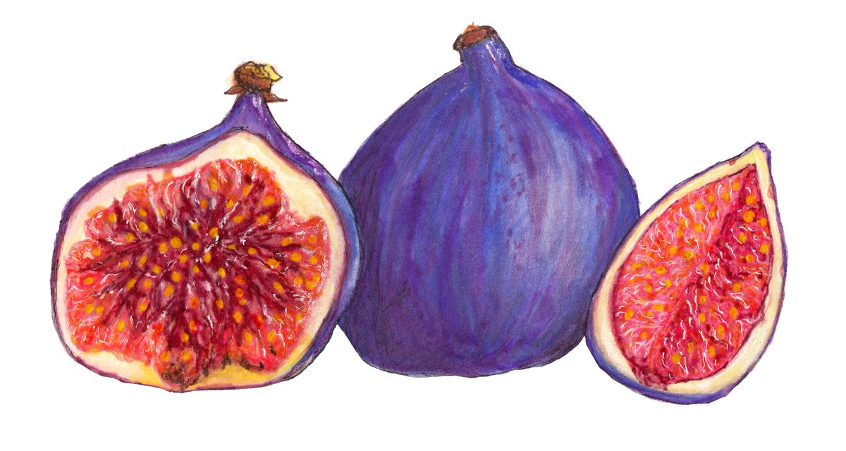 Francesca_B_G's tweet photo. @A_MartinaIbanez @latimes Hi Martina, I’m Francesca an Italian Illustrator living in UK. I love drawing food and these are few of my food illustrations, I can provide more through email if needed, you can contact me at thetravelingscrapgirl@gmail.com Thank you😊 https://t.co/cm6V2j1KU3
