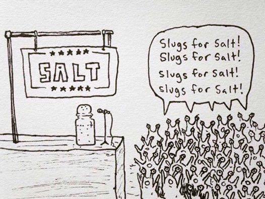 WistfulCass's tweet photo. ๐ #EastYorkshire Morgan family #Farmers who voted #Brexit, now worried about #CheapFoodImports destroying UK #Farming
They EXPORT to The EU ๐ Laughable, yet another example of #SlugsForSalt thinking ๐ No sympathy for these 'patriotic' #Thicketeers
#Countryfile #StopBrexit https://t.co/600kR5x6Hc