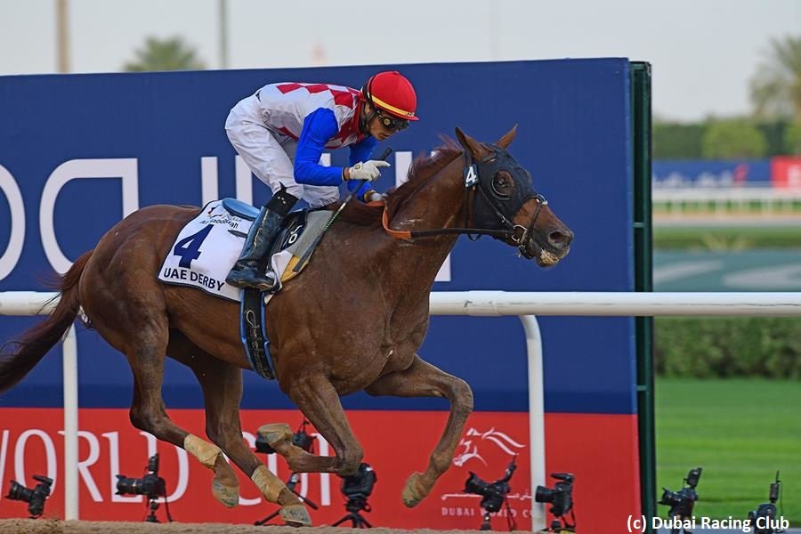 AdenaSprings's tweet image. 🌎#PointOfEntry is truly fulfilling his promise as a #GlobalSire. 
🌎With Plus Que Parfait's UAE Derby victory (G2) he now has blacktype runners in FIVE different countries.
🚩Point of Entry season requests - bit.ly/AdenaMareSubmi…