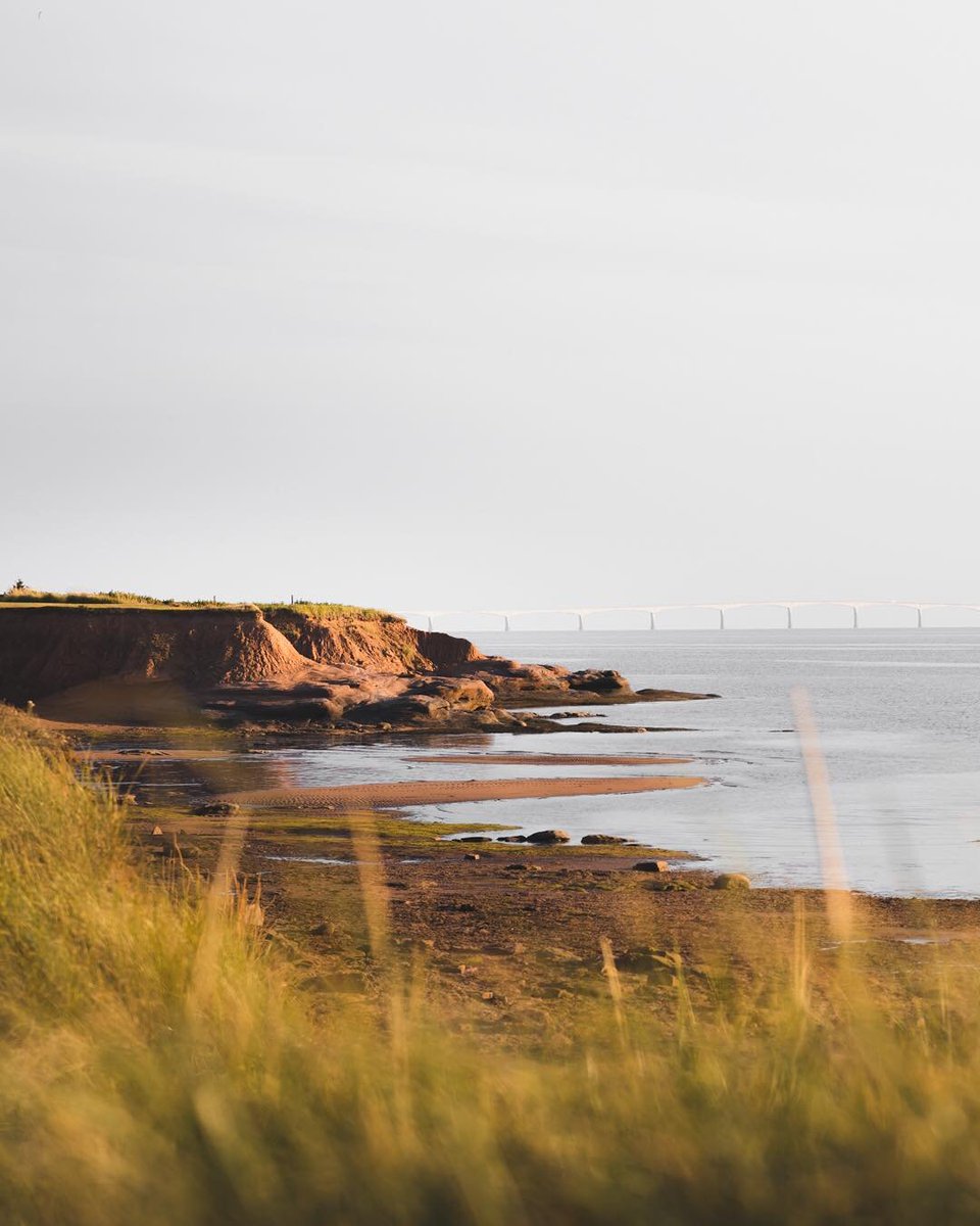 PEIFerries's tweet photo. Remember summer family vacations to #PEI? Relive that feeling. Step onboard #NFLFerries.
📷: @sixbao
Book now: https://t.co/pAHB29Nxnp https://t.co/Dl6EdtznPp