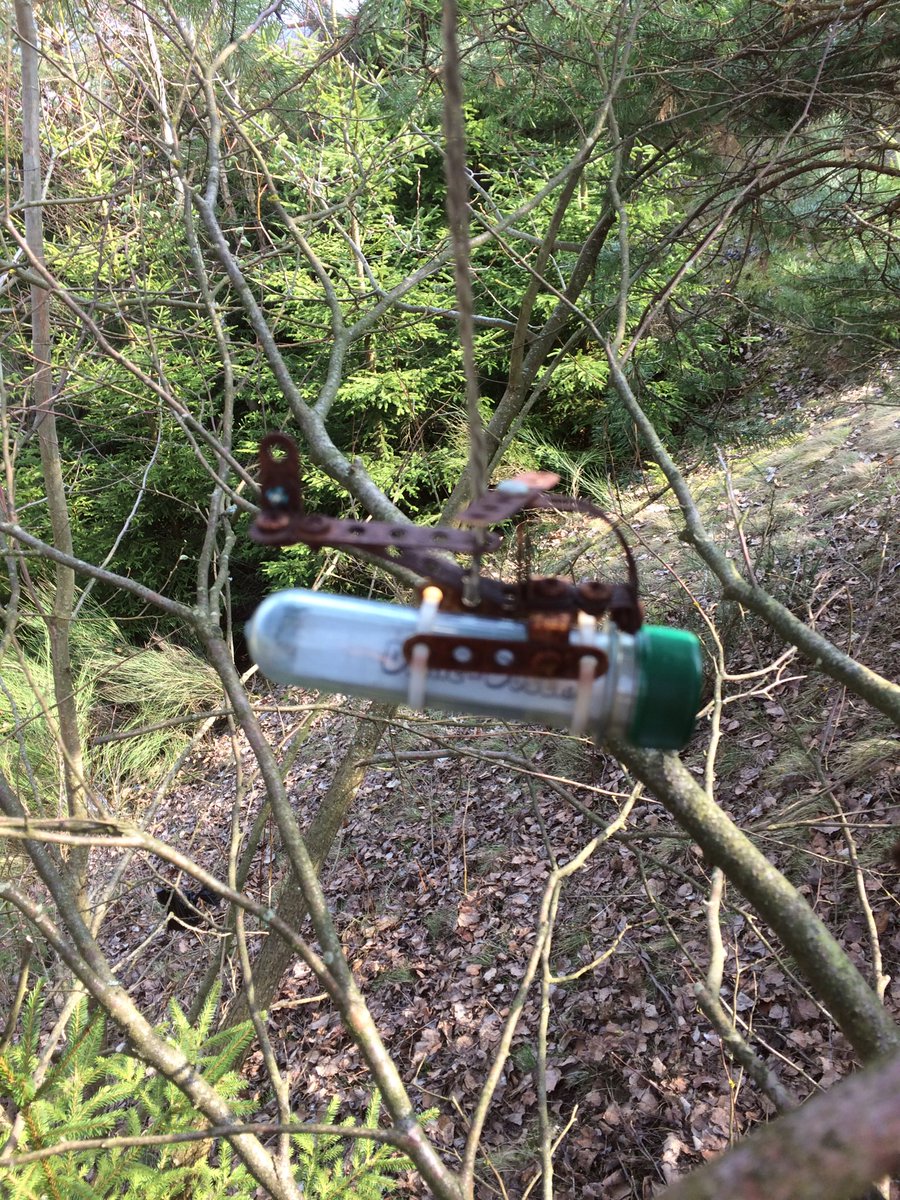 Reinhard Fuchs tweet media