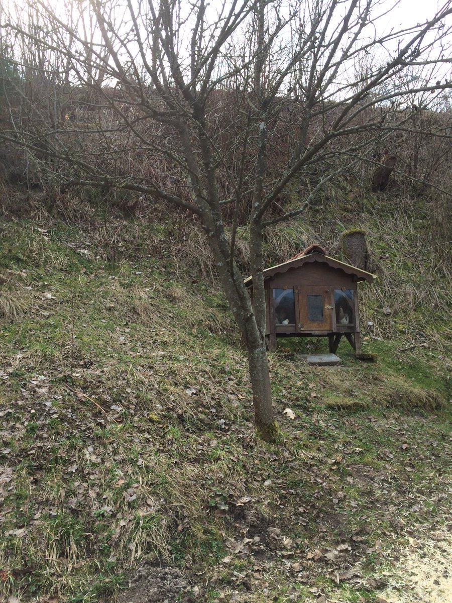 Reinhard Fuchs tweet media