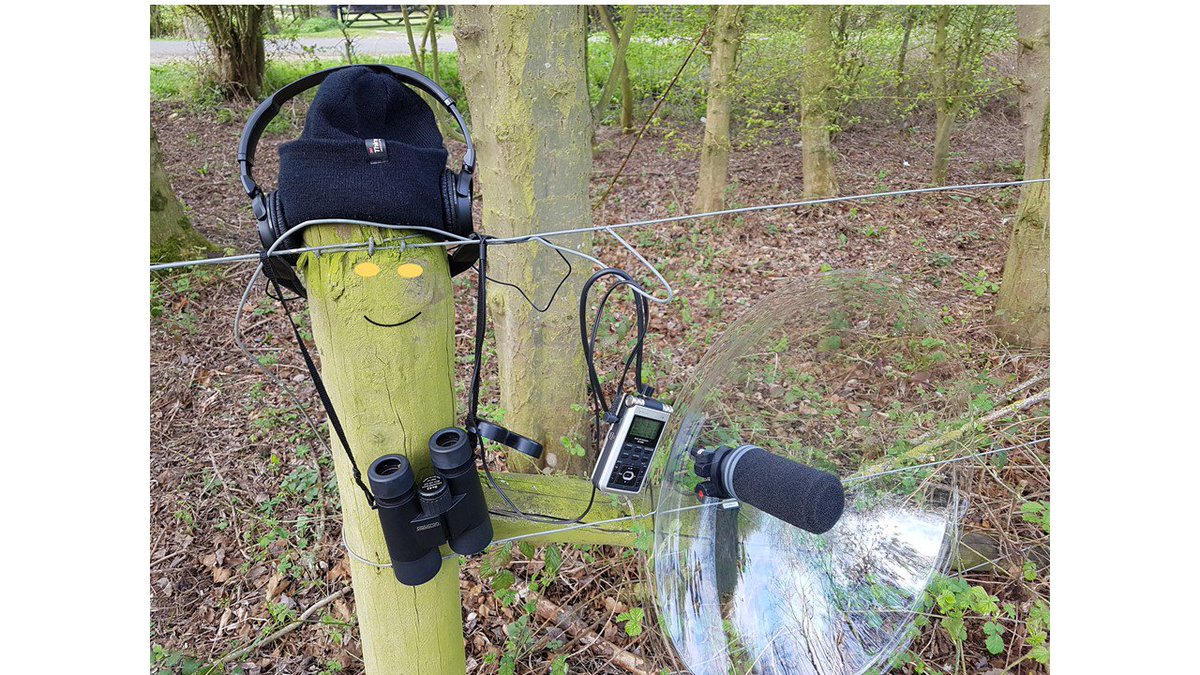 BatAbility's tweet photo. Is That A Bat? Nope I have gone incognito this week for some last minute recs and to get the book finished. Hope it goes better than last week. I was banned from Morrison's for recording cars! The new disguise should work. They'll never know! @pelagicpublish #isthatabat #bats https://t.co/DPeYVAVrJ0