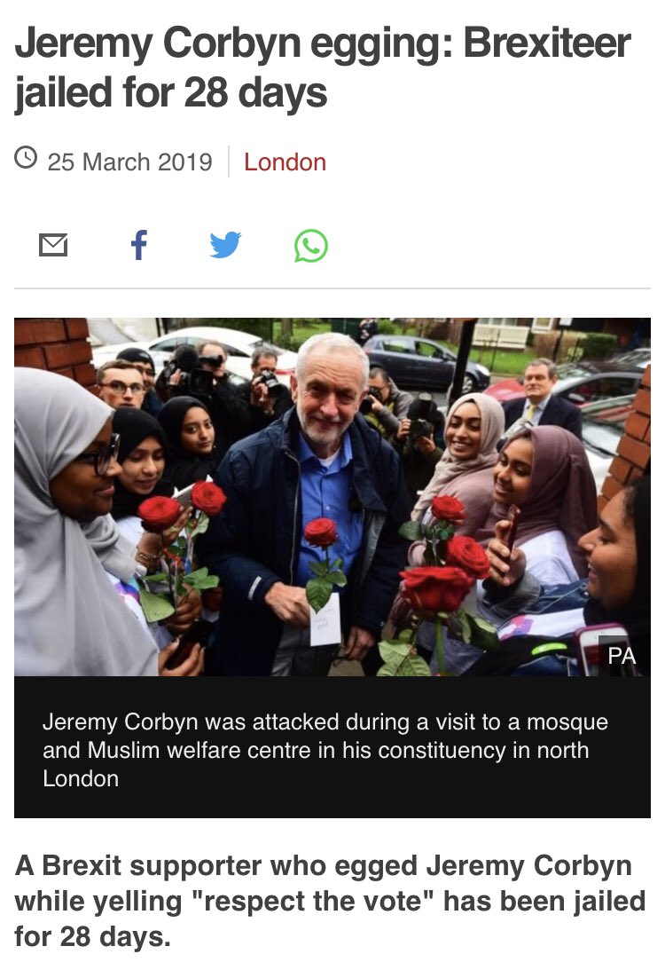 Jo 🇬🇧 tweet media