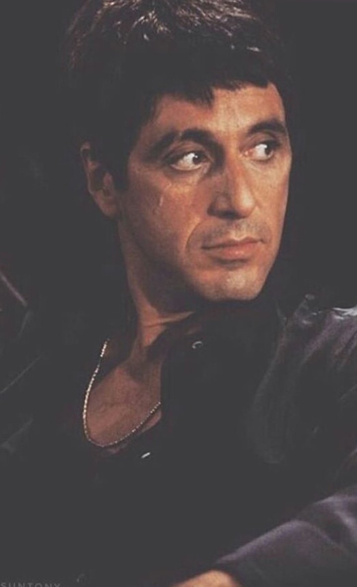 Bu şehir düzülmeyi bekleyen koca bir vajina gibi.#Montana