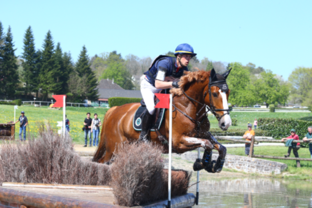 FRA_Equitation's tweet photo. #Eventing Bravo à Camille Lejeune et Tahina des Isles, propriété de la SCEA Elevage Chiche-Hubert, de Virgine Jorissen et de son cavalier, qui prennent la 8e place du disputé CCI 4*S de Belton ! 🇫🇷👏👍
Plus d'informations ➡️ https://t.co/orNg0m4xPA
© FFE / PSV, photo d'archive https://t.co/IniYc0f7kD