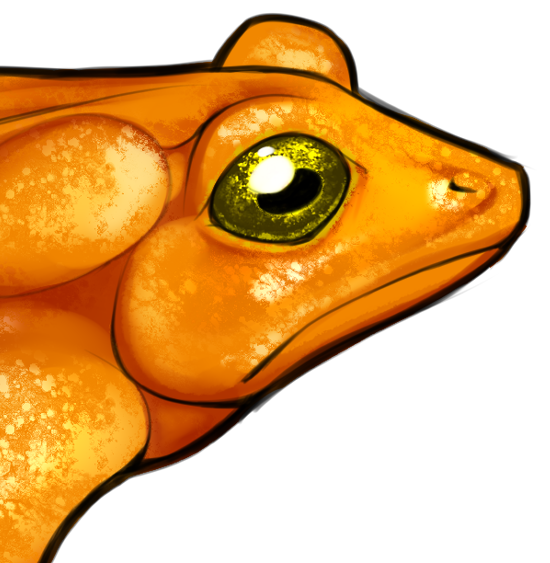 RiverHoltArt's tweet photo. #HauntedCarousel no.6: the striking Golden Toad. after only knowing it for two decades, scientists struggle to understand its rapid sudden extinction, though climate change was certainly a major factor. https://t.co/dQoIiL6M3D