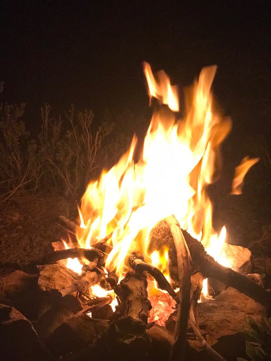 Saro_kifer's tweet photo. Camping Under the Stars ✅ https://t.co/E45bDGkcsi