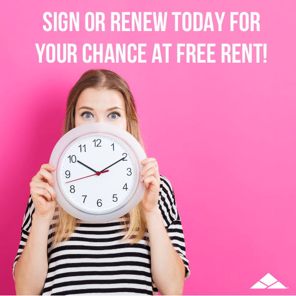 EnclaveLiving's tweet photo. Today is the last day to be entered into our FREE RENT RAFFLE! Sign or renew TODAY for your chance to win! #FreeRent #Enclave #OGofSIUE #Renew #SignToday https://t.co/WVZhvbCjjF