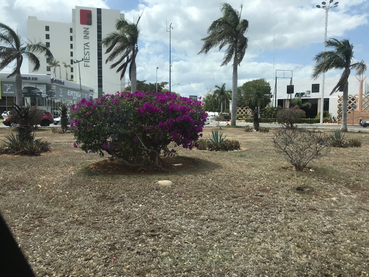 roheda's tweet photo. Da pena cómo está la glorieta pónganse las pilas @RenanBarrera @MauVila parece un capítulo de walking dead https://t.co/W7SYbw7Kiq