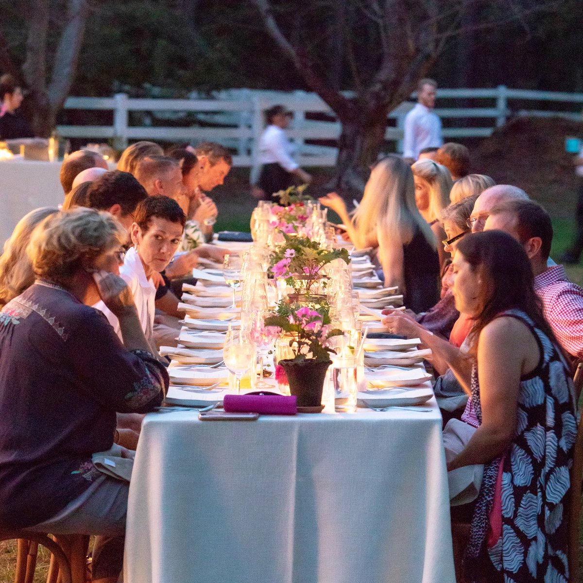 Spring Mandolin Farm dinner announced — April 18th!

Menu &amp; tickets here: mandolinraleigh.com/event/spring.
