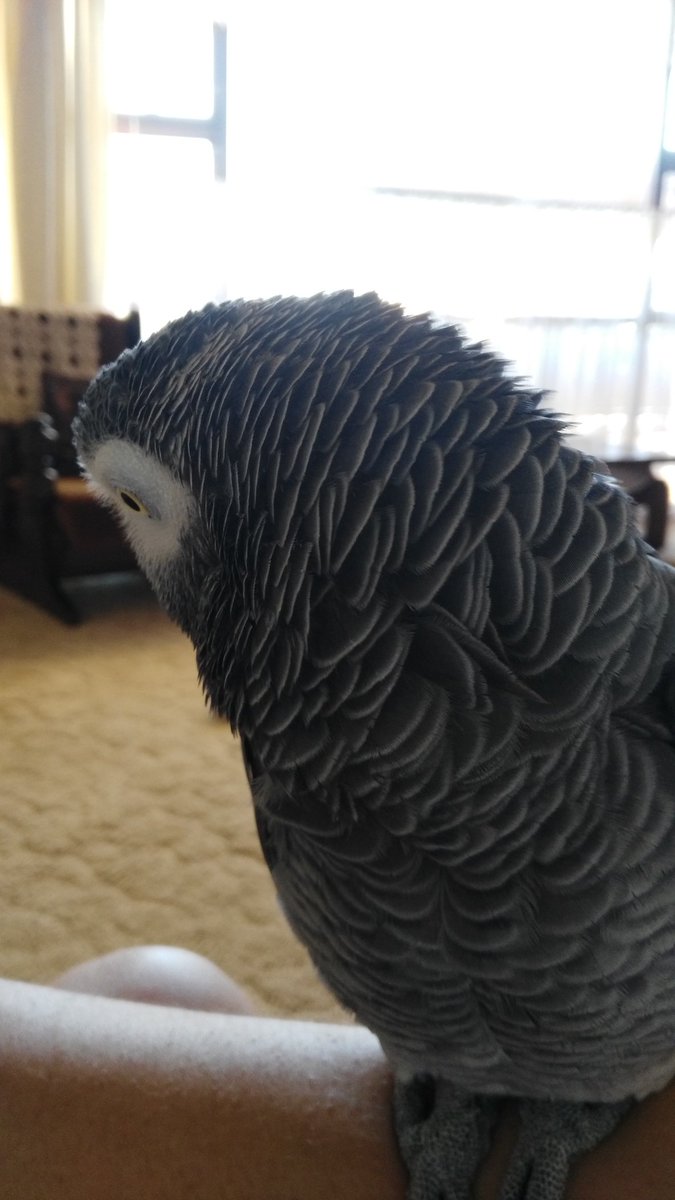 cnelson1884's tweet image. 