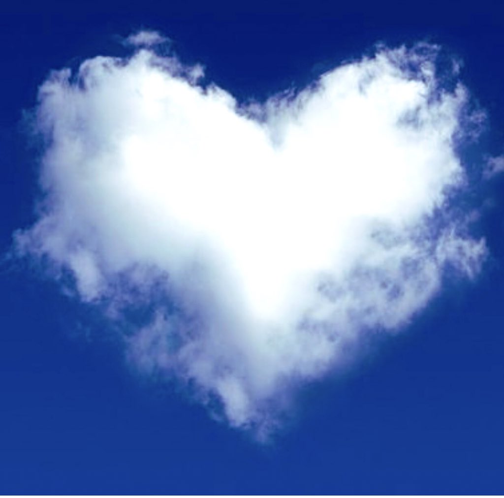 cnelson1884's tweet image. 