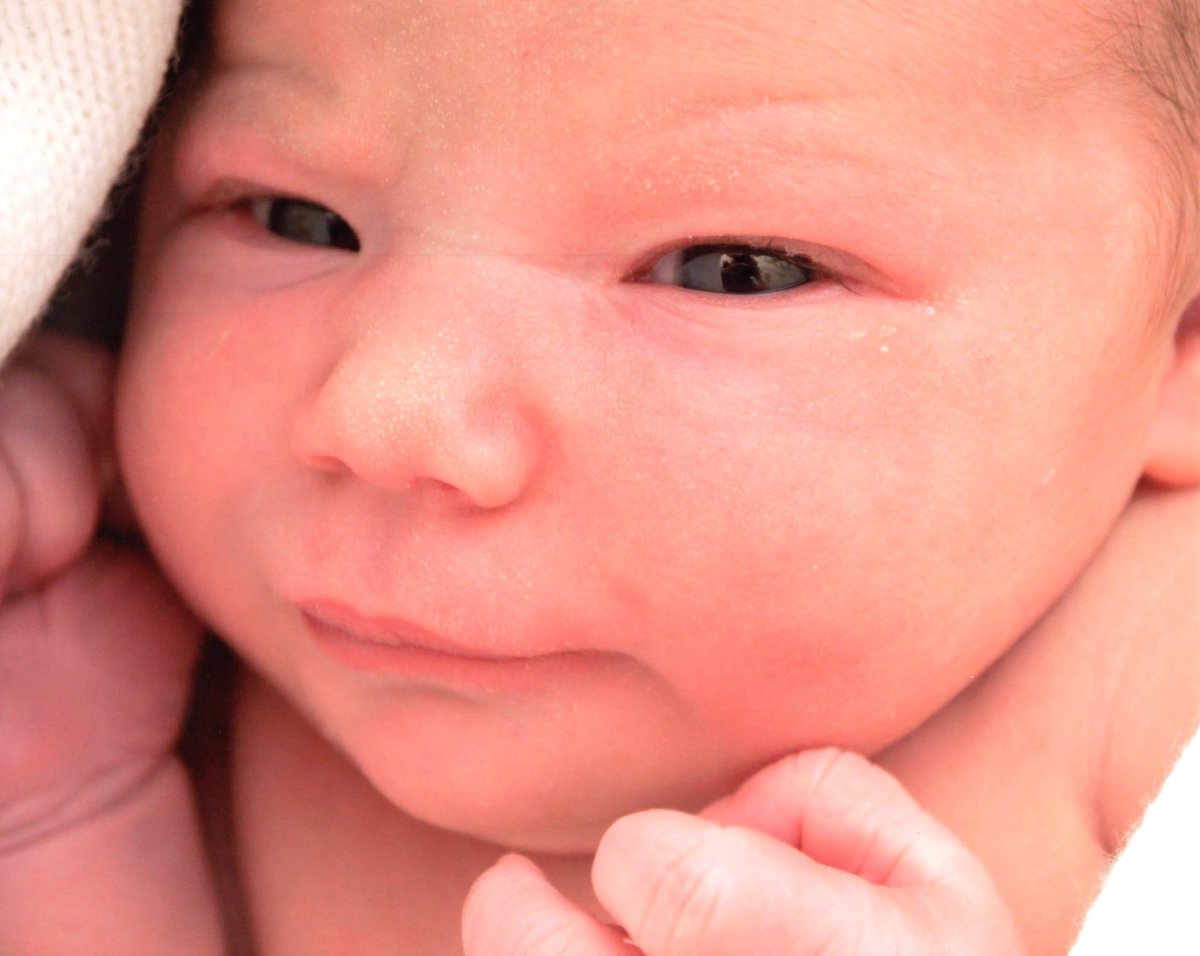 Bev Reilly 🌈🦋 tweet media