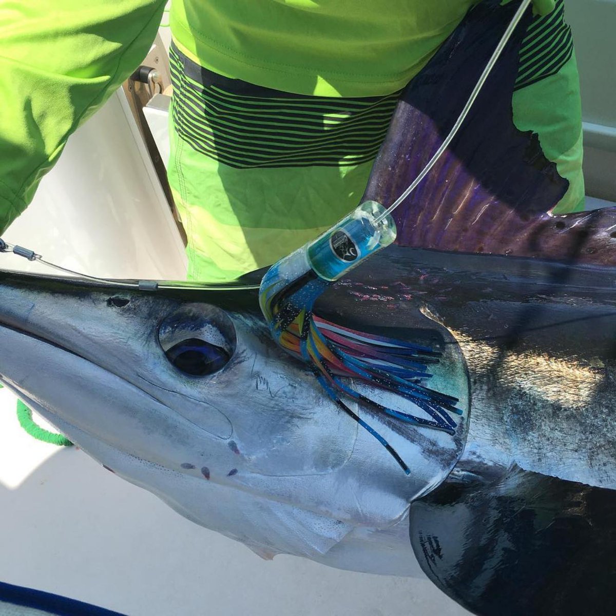 CoastalFishingC's tweet photo. Sea-ing eye to eye
.
#sportsmanboatowners #sportsmanfamily #sportsmanboats #marlin #coastalfoshing #coastalproteam #marlinfish #offshore #inshore #offshorefishing #offshorelures #bluemarlin #whitemarlin https://t.co/dgrustUgx5