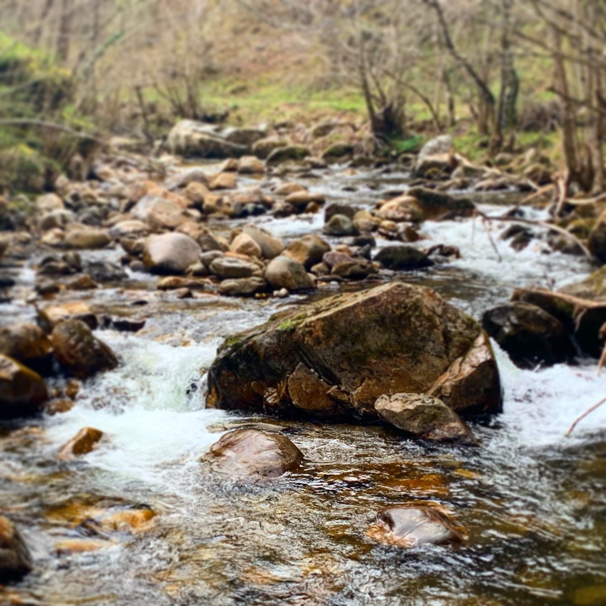 cesarcajete's tweet photo. La #Asturias que enamora.😎😍
#Domingo de #primavera🌿🌞🌦
#senderismo #weekend #walking #naturaleza #spring #parquenaturalredes #Asturias #RíoNalón #asturiasparaisonatural https://t.co/VIAwNRr3Uv