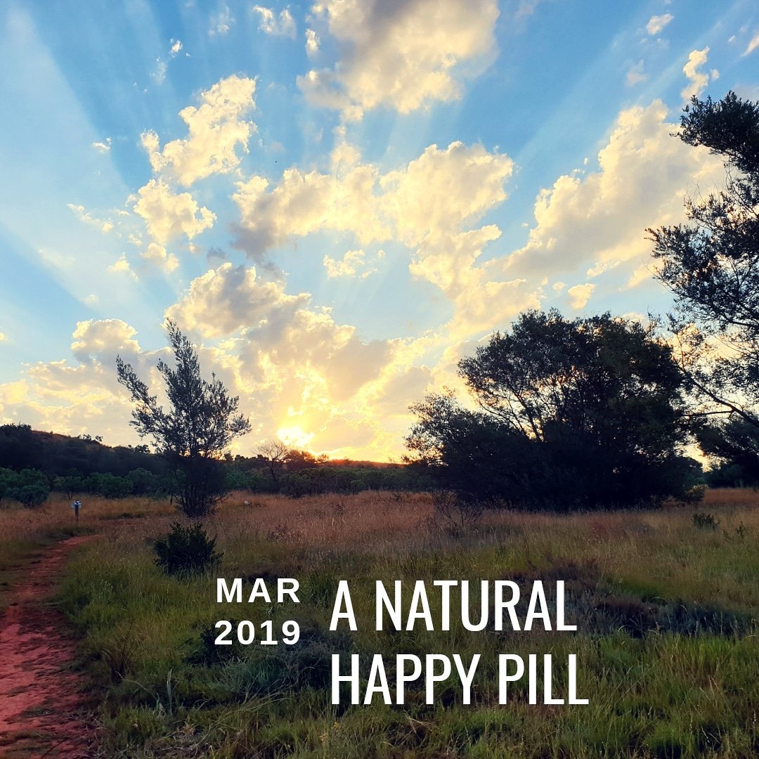 BLeXAFer1's tweet photo. Natural high!
#RideOn #GoodVibes #Instagram #Insta #MTB #MountainBiking #JoziCyclingClub #KeepTheRubbersideDown #Nature #Explore #HobbyPark #TitanRacingCompany #Strava #UCI #SingleTrack #JeepTrack #Technical #Terrain #PolarFlow #PolarV800 #CycleOps #CycleOpsFluid2 #Cycling https://t.co/c45pwd0sSo
