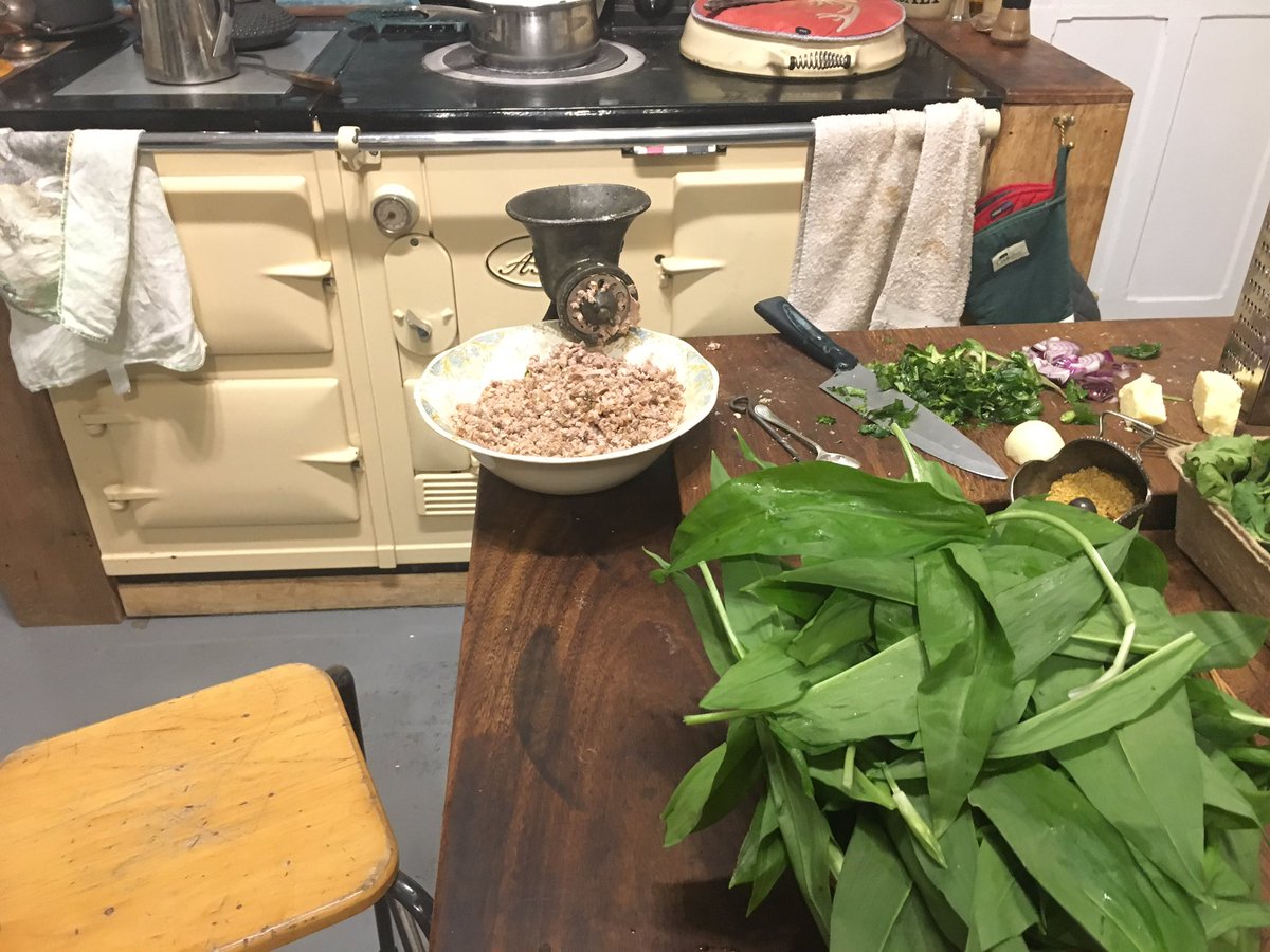 Carolyn Chesshire 🦌 tweet media