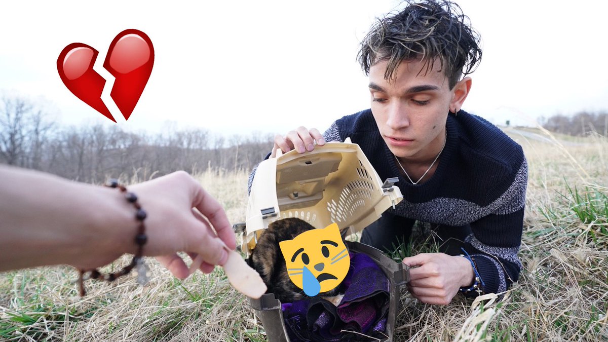 Lucas Dobre tweet media